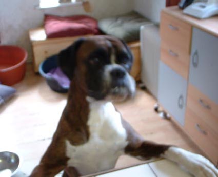 Cindy, Barwater's cheekiest!